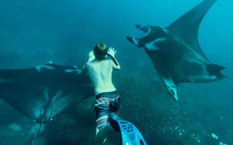 Bali Day Trip Nusa Penida with Premium Private Boat or Yacht - Key Points