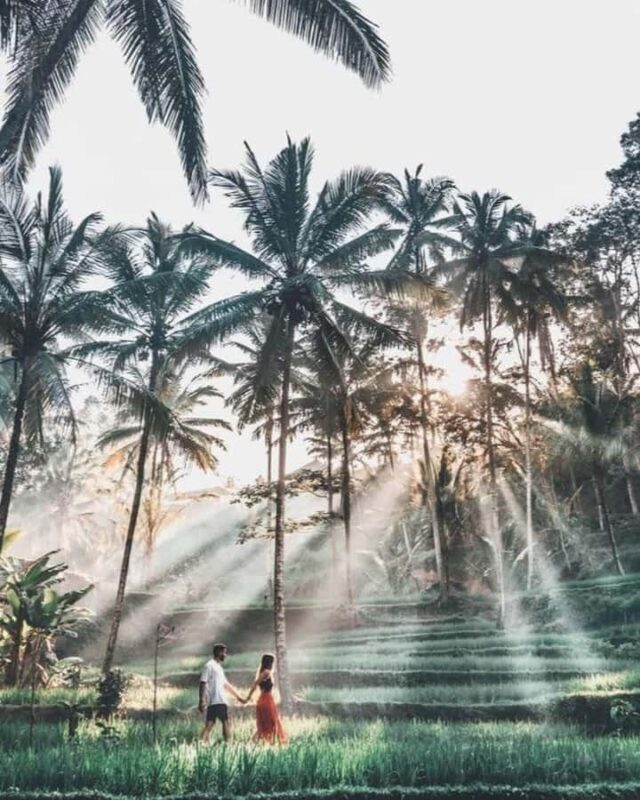 Bali: Day Trip Ubud and Tegallalang Rice Terrace Tour - Convenient Pickup & Start