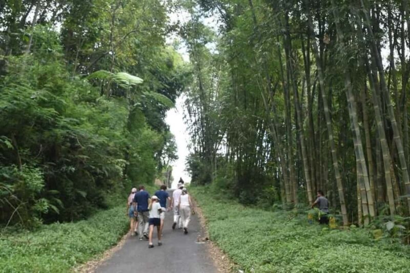 Bali: Day Trip Ubud and Tegallalang Rice Terrace Tour - Comfortable Return