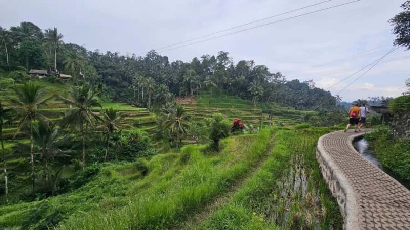 Bali: Day Trip Ubud and Tegallalang Rice Terrace Tour - Duration & Pacing