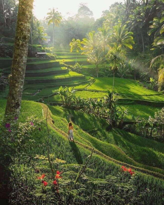 bali-design-your-customize-trip-with-private-driver
