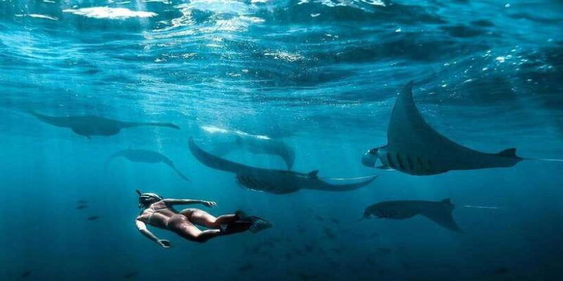 bali-discover-beauty-of-nusa-penida-snorkeling-and-island