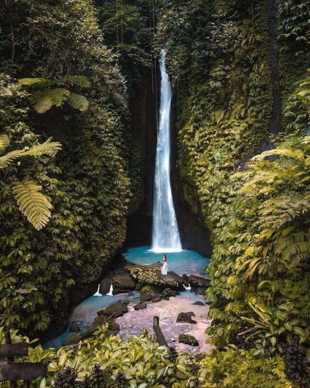 bali-discover-jungle-waterfalls-and-rice-terraces