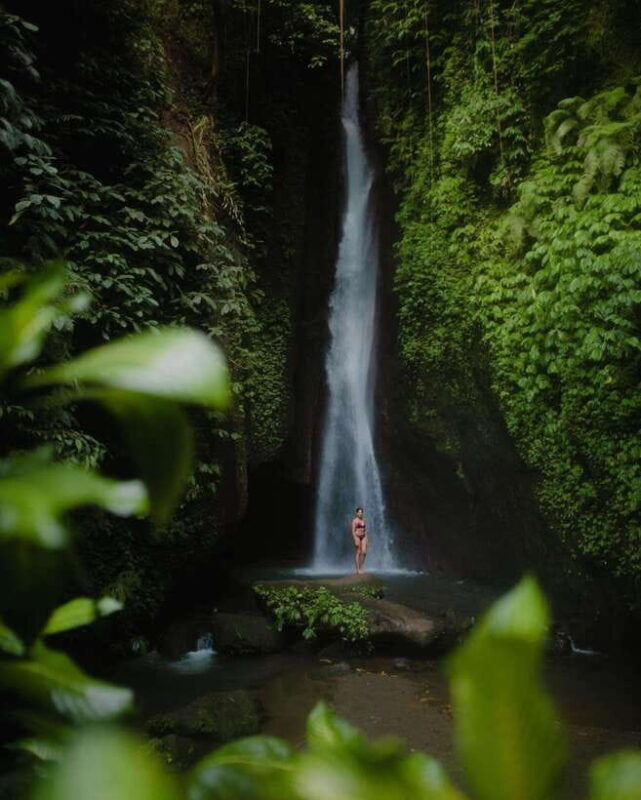 bali-discover-jungle-waterfalls-and-rice-terraces