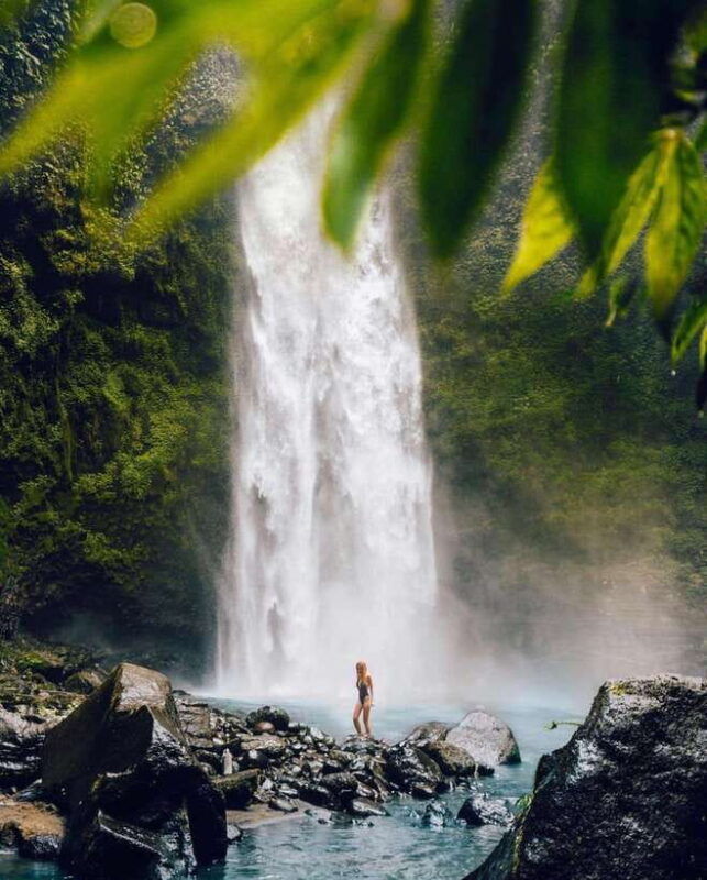 bali-discover-jungle-waterfalls-and-rice-terraces
