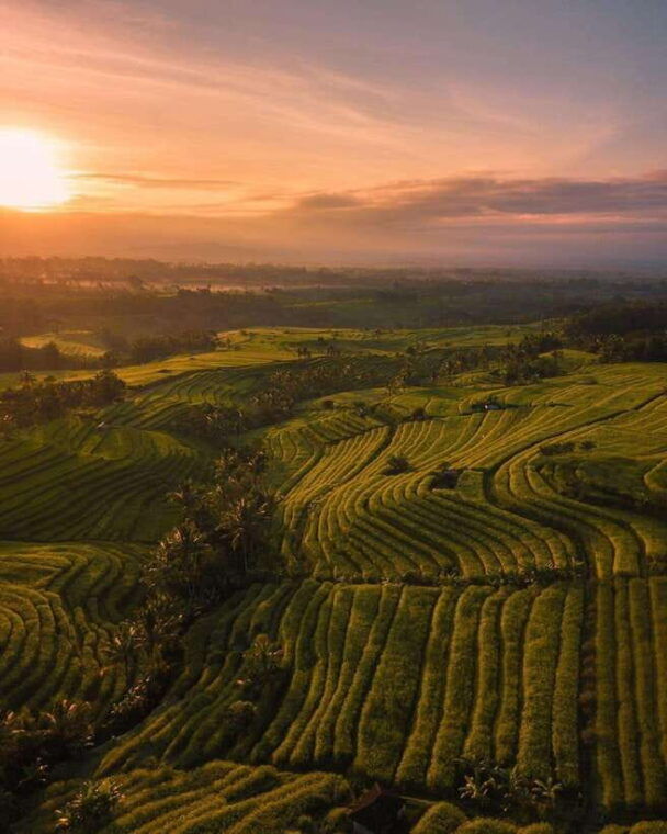 bali-discover-jungle-waterfalls-and-rice-terraces