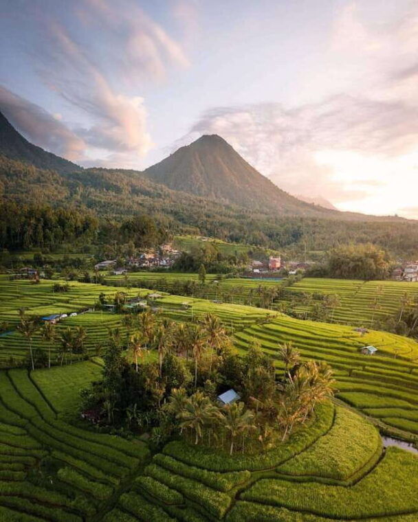 bali-discover-jungle-waterfalls-and-rice-terraces