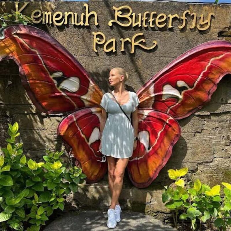 Bali Discovery: Waterfalls, Butterfly Park & Village Life - Key Points