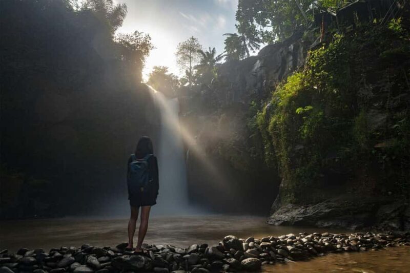 Bali Discovery: Waterfalls, Butterfly Park & Village Life - Practical Tips for Your Day