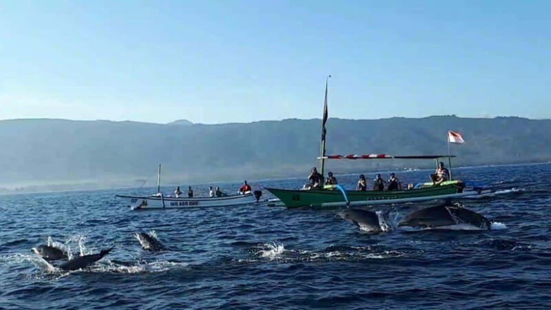 bali-dolphin-swim-snorkeling-in-lovina-bali