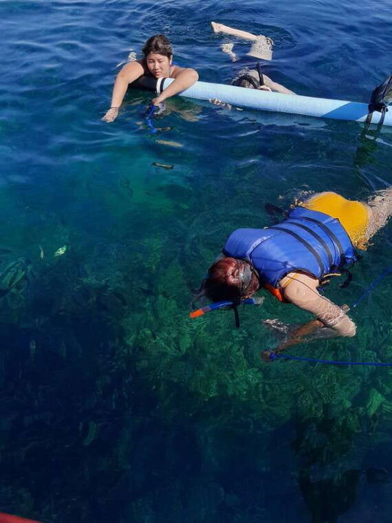 bali-dolphin-swim-snorkeling-in-lovina-bali