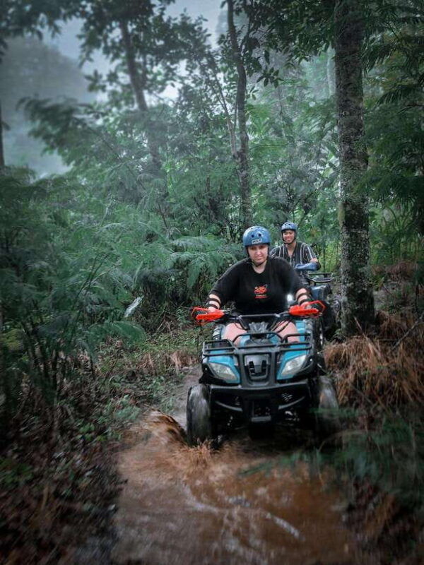 bali-dolphin-swimming-tour-with-atv-quad-bike-waterfall