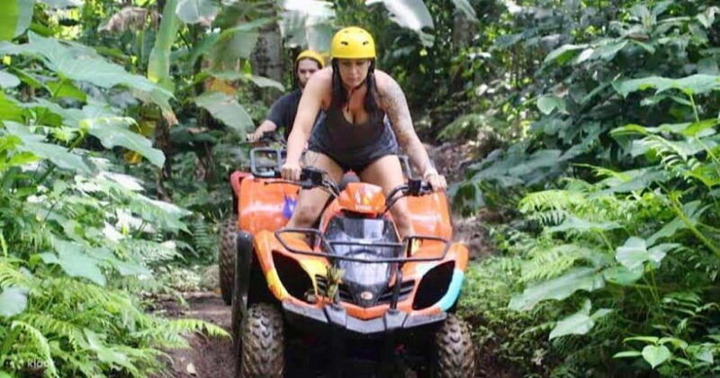 bali-dolphin-swimming-tour-with-atv-quad-bike-waterfall