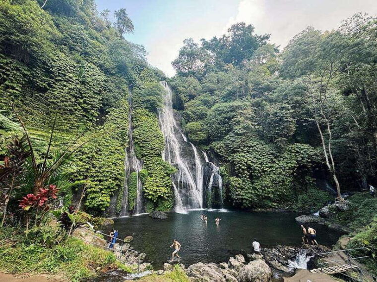 bali-dolphin-swimming-tour-with-atv-quad-bike-waterfall