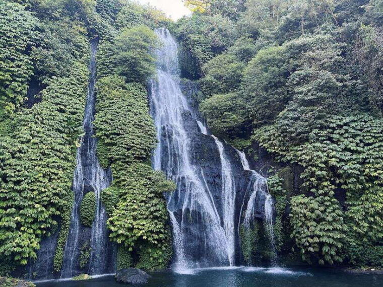 bali-dolphin-swimming-tour-with-atv-quad-bike-waterfall