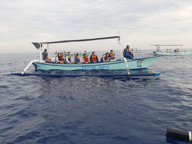 bali-dolphin-tour-and-sunrise-in-lovina