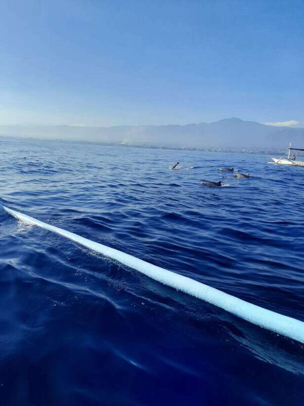 bali-dolphin-tour-and-sunrise-in-lovina