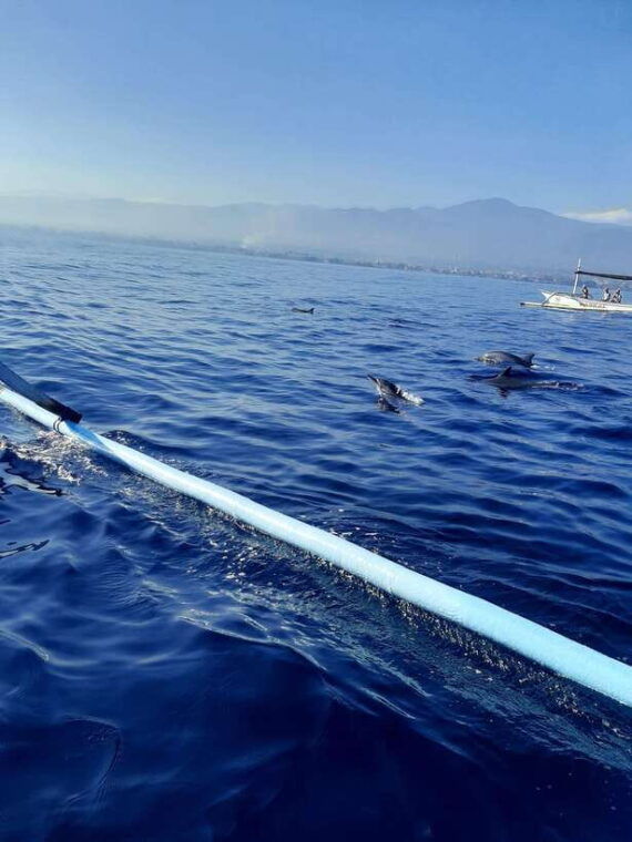 bali-dolphin-tour-and-sunrise-in-lovina