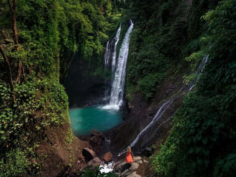 Bali: Dolphin Watching, Aling Aling Waterfall, All Inclusive - The Itinerary and What to Expect