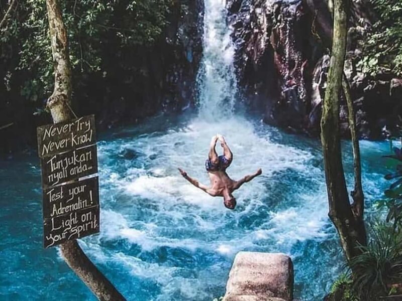 Bali: Dolphin Watching, Aling Aling Waterfall, All Inclusive - Real Experiences from Past Travelers