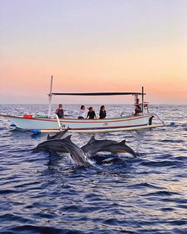 Bali: Dolphin Watching, Snorkeling, and Munduk Day Tour - Bali: Dolphin Watching, Snorkeling, and Munduk Day Tour