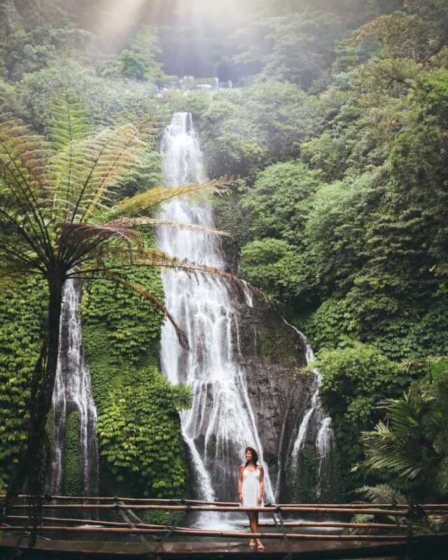 Bali: Dolphin Watching, Snorkeling, and Munduk Day Tour - FAQ