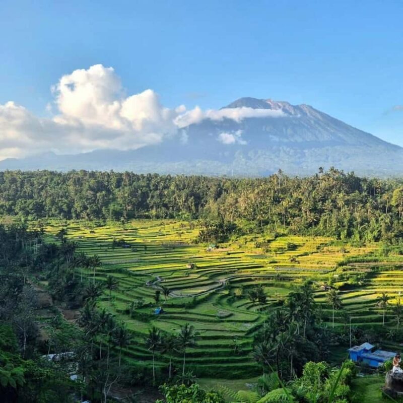 Bali: East Bali Hidden Gems Tour with Waterfall & Village - Key Points