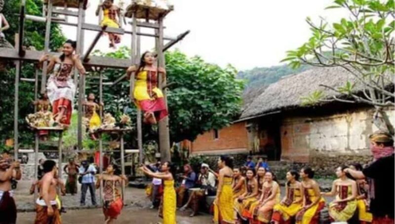 Bali: East Bali Hidden Gems Tour with Waterfall & Village - Discovering Tenganan Pegringsingan: Bali’s Ancient Village