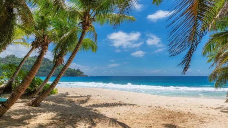 Bali: East Bali Private Tour Includes Pick up Drop off Hotel - Who Should Book This Tour?