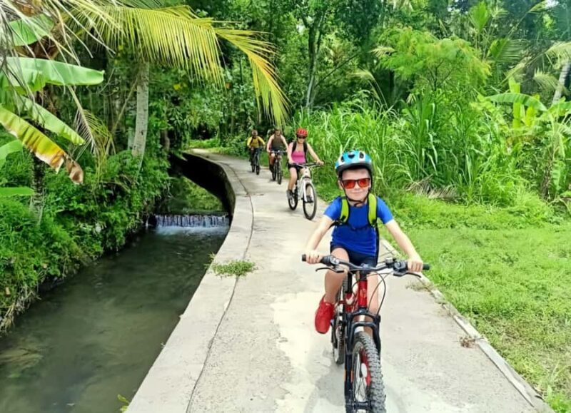 Bali Easy Countryside Cycling with Rice Fields & Local Life - Key Points