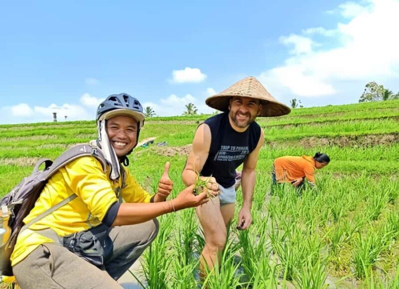 Bali Easy Countryside Cycling with Rice Fields & Local Life - Discovering Bali’s Countryside — The Itinerary in Detail