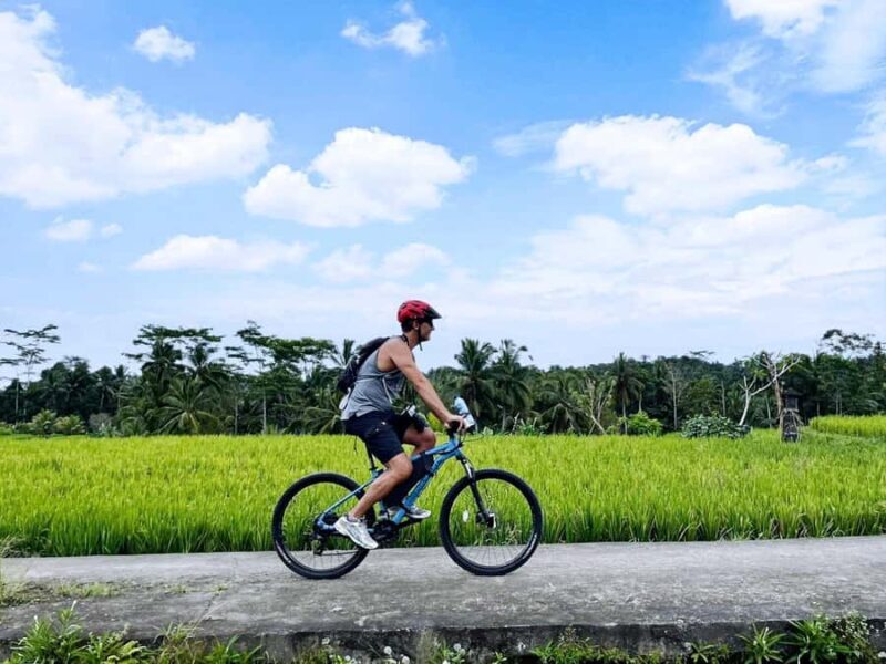 Bali: Electric Bike Cycle Tour through Rice Terrace - Key Points