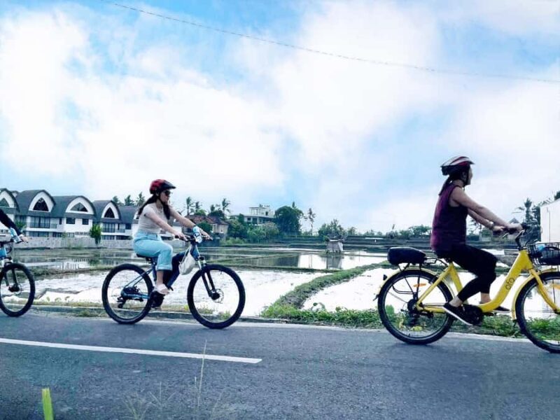 Bali: Electric Bike Cycle Tour through Rice Terrace - Who Will Love This Tour?