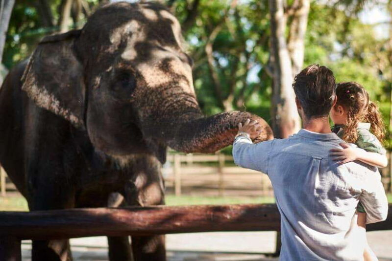 bali-elephant-mud-fun-activity