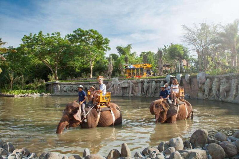 bali-elephant-mud-fun-activity