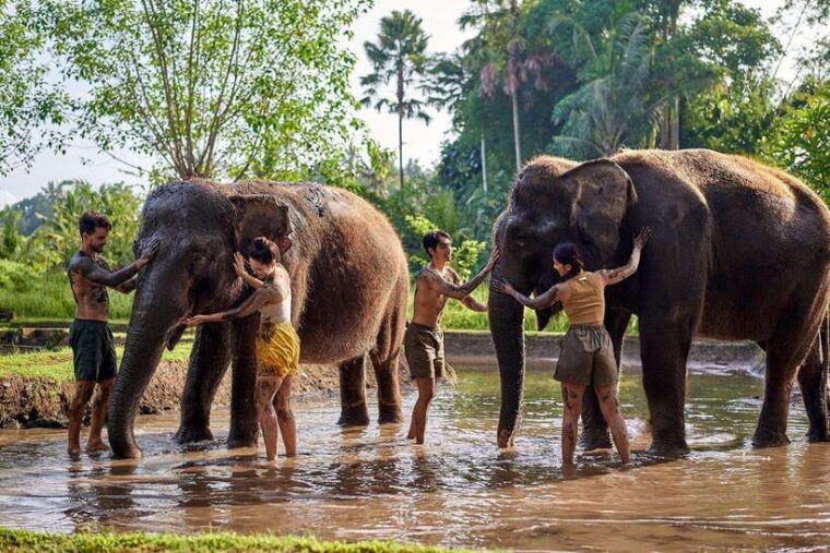 bali-elephant-mud-fun-activity
