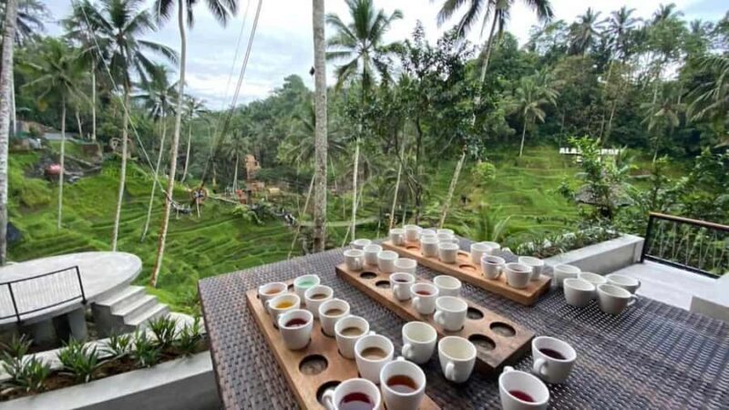 Bali: Exclusive 4WD Sunrise Jeep with Coffee Tasting - Bali: Exclusive 4WD Sunrise Jeep with Coffee Tasting — A Complete Review