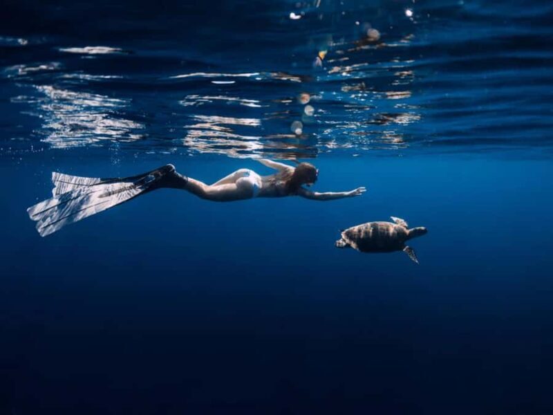 Bali: Exclusive Private Snorkeling & City Tour - FAQ