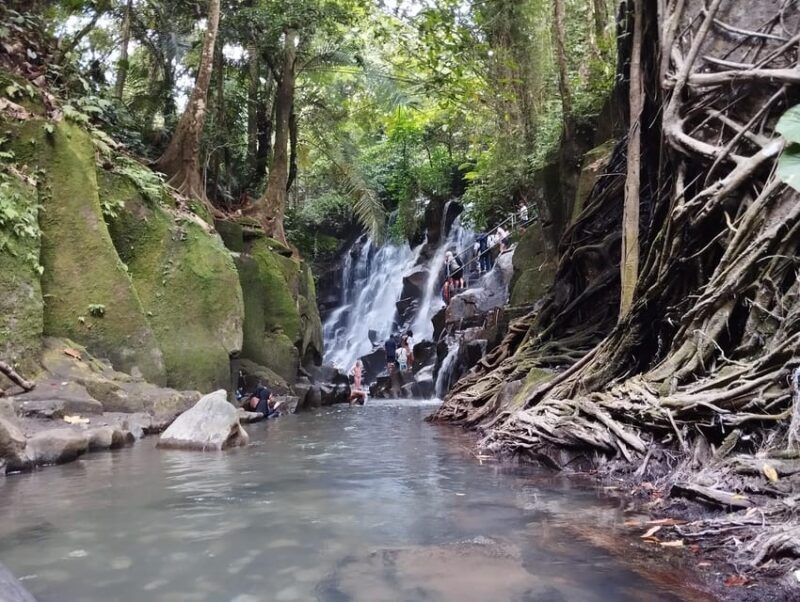 BALI EXCURSIONS: EXPLORING THE EXOTIC OF BALI - Who Would Love This Tour?