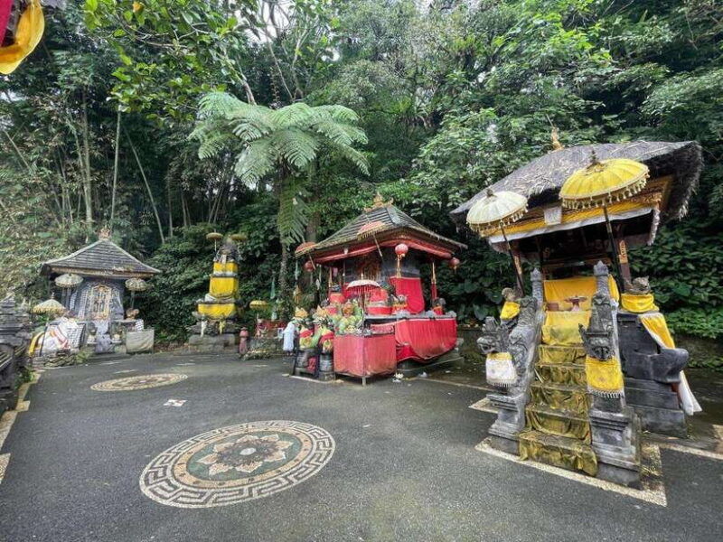 bali-experience-dance-purification-culinary-journey