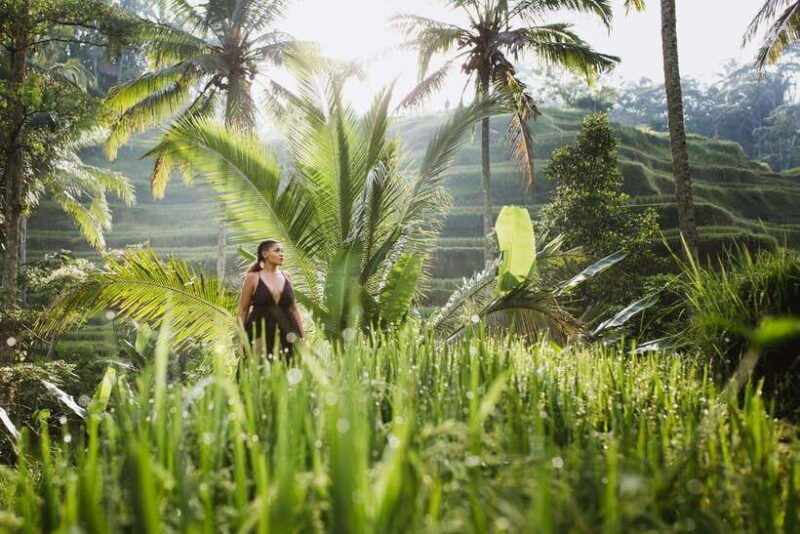 bali-explore-beauty-of-ubud-with-3-best-tour-options