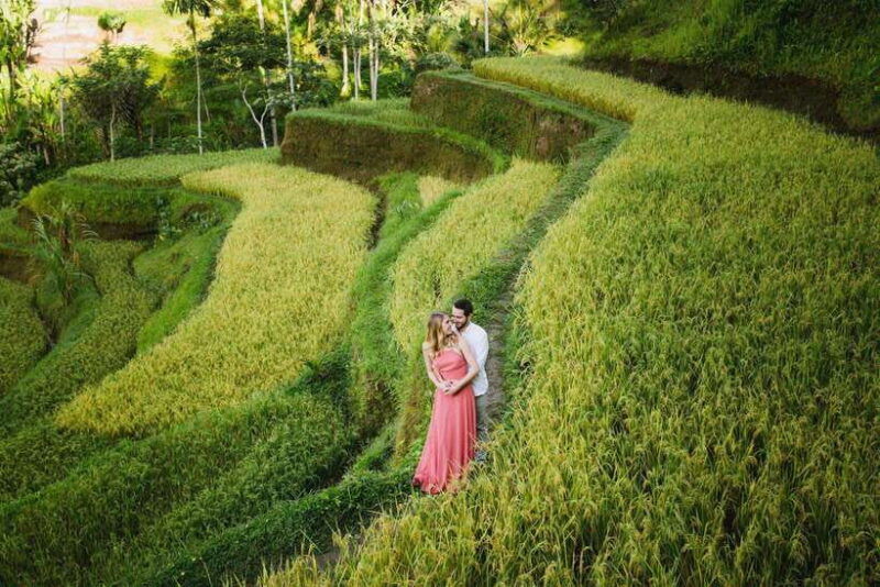 bali-explore-beauty-of-ubud-with-3-best-tour-options