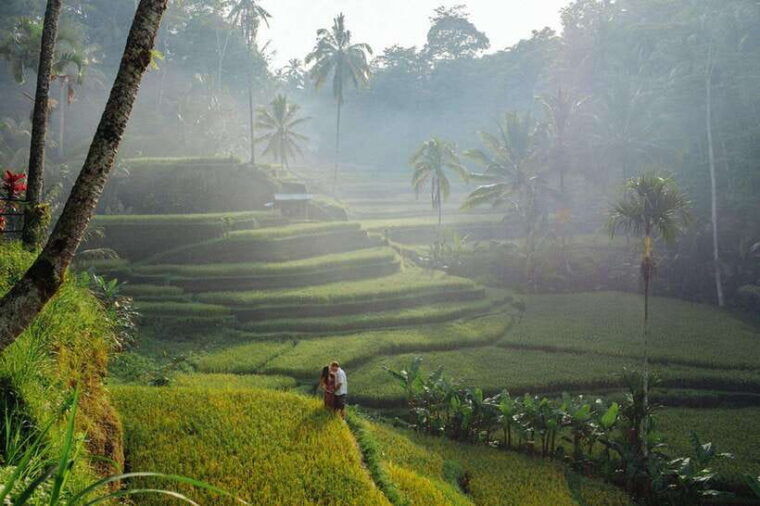 bali-explore-beauty-of-ubud-with-3-best-tour-options