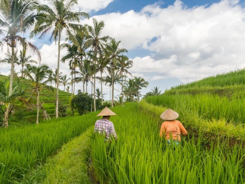 bali-family-friendly-tour-temple-botanical-park-unesco