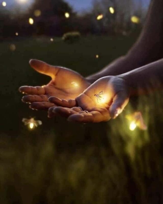 Bali: Fireflies Night, Temple, Waterfall & Rice Terrace - Introduction: Uncover Bali’s Hidden Charms