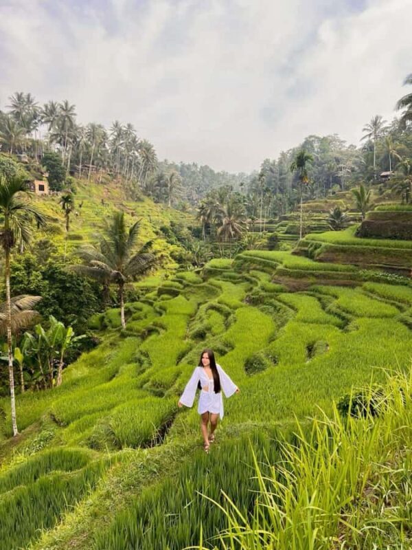 Bali: Fireflies Night, Temple, Waterfall & Rice Terrace - Practical Tips and Considerations