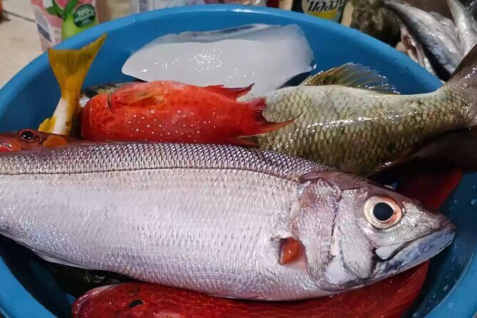 Bali Fishing Charter Private Boat - Who Will Love This Experience?