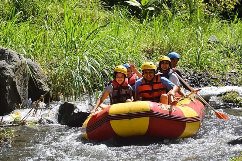 Bali Full-Day Combo: Telaga Waja Rafting and ATV Quad Biking - Who Should Consider This Tour?