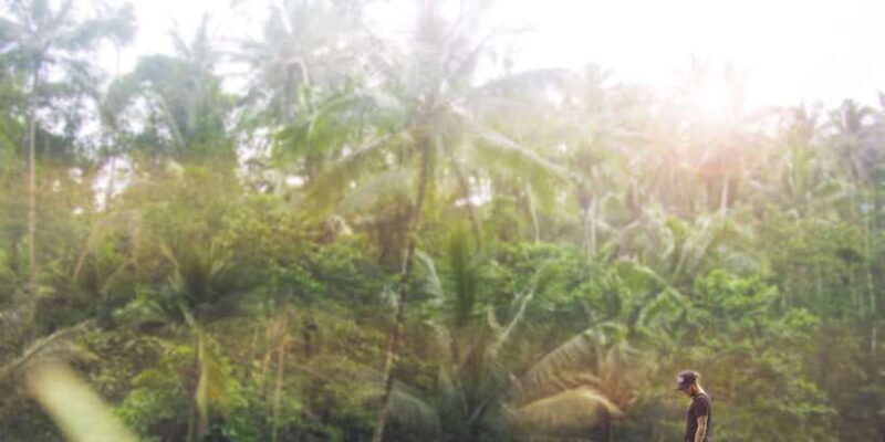 bali-full-day-eat-pray-love-tour-with-rice-terraces-yoga