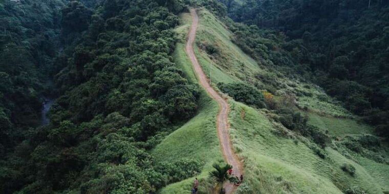 bali-full-day-eat-pray-love-tour-with-rice-terraces-yoga